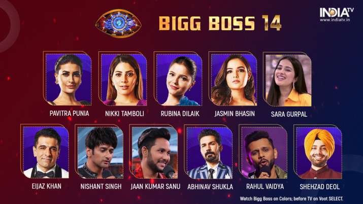 Bigg Boss 14 Contestants