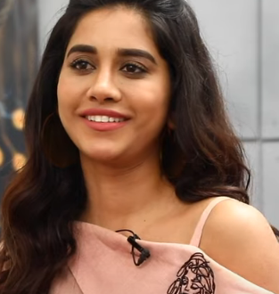 Nabha Natesh Age, Wiki, Family, Bio, Education, Career, Movies, TV Shows, Husband, Height, Awards & Net Worth - Celebsupdate